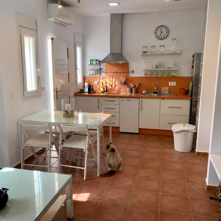 Apartamento en La Barrosa “Seresmar” - Apartamento de 1 dormitorio - 8