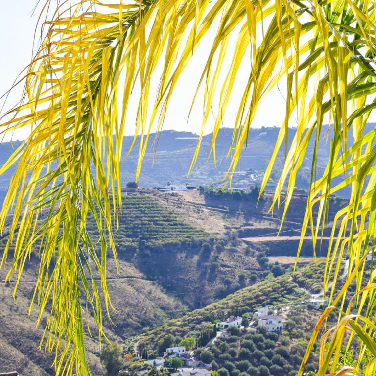 Casa Jazmin, Frigiliana Traditional townhouse with great views HansOnHoliday Rentals - Apartamento de 2 dormitorios - 36