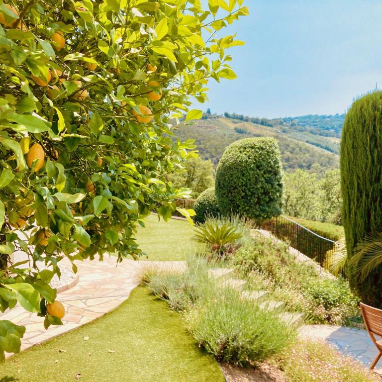 Villa with spectacular views - Pool house with outdoor kitchen and pizza oven - Villa - 49