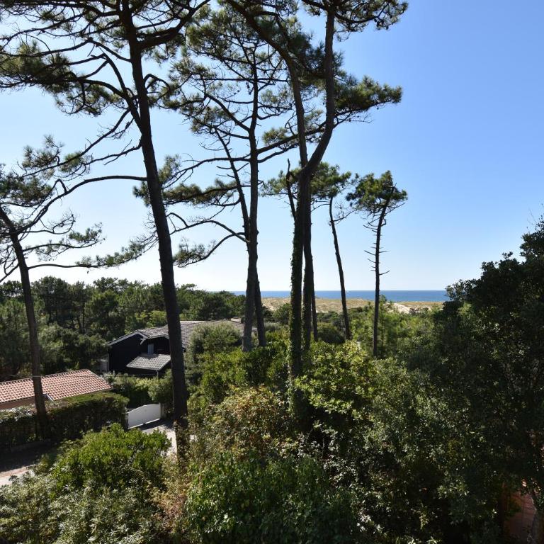 Sauges - Hossegor belle villa avec vue océan dans secteur calme entre lac et océan sur terrain non clos d'environ 1500 mètres car - Villa mit 3 Schlafzimmern - 15