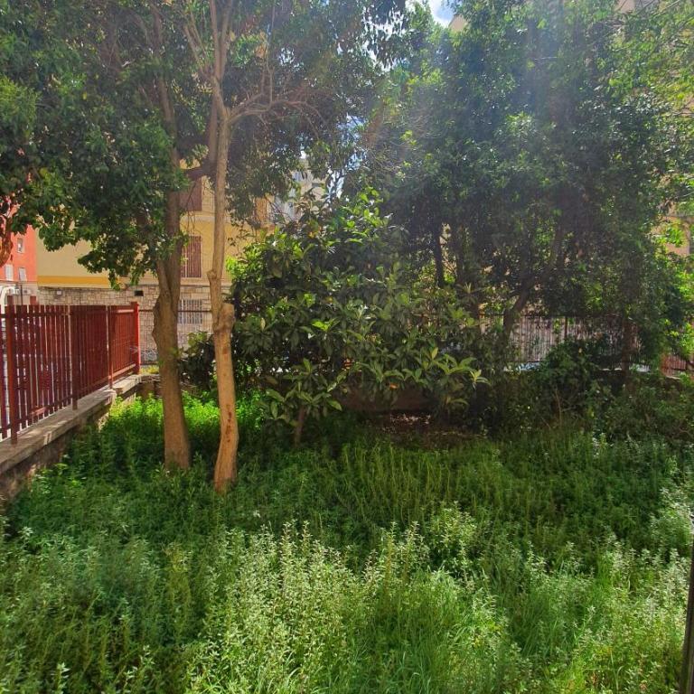 Star House - Bari Centro - Appartamento con 3 Camere da Letto - 31