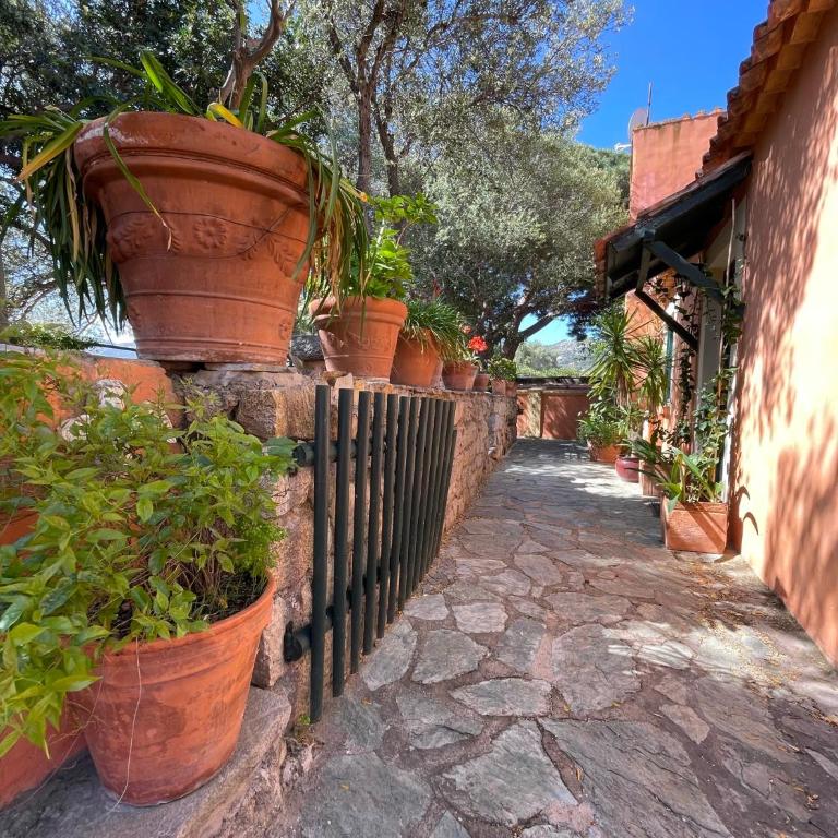 Villa ANTONIA - Villa - 4