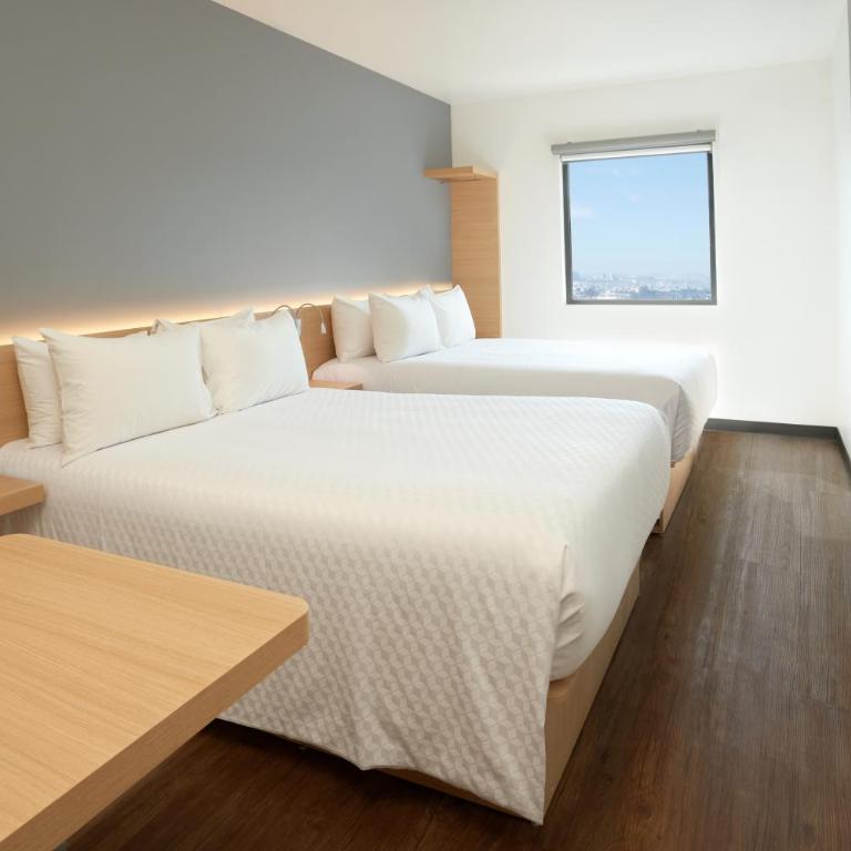 GAMMA Querétaro - Superior Room, 2 Double - 1