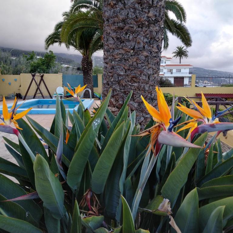 Apartamento La Costa - One-Bedroom House - 23