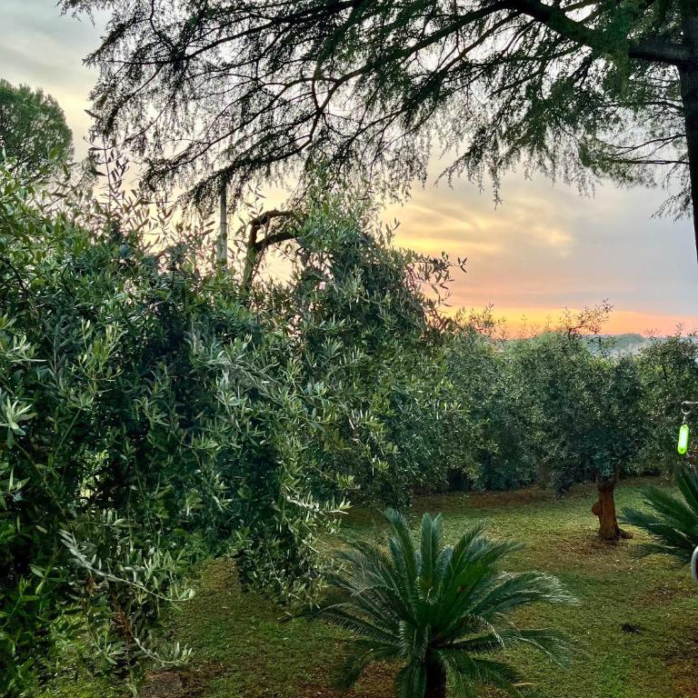 La Villa, Tiburtina Valley - Appartamento con 1 Camera da Letto - 3