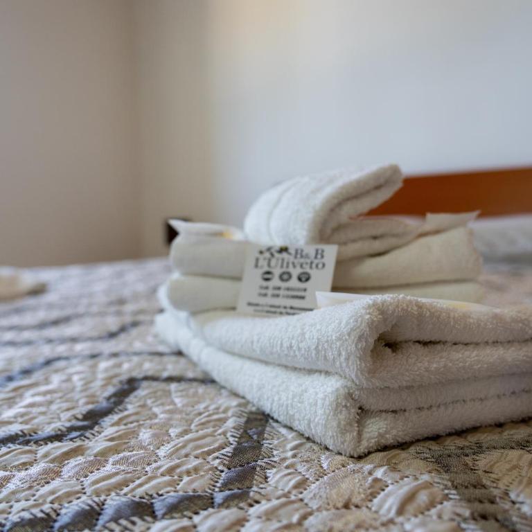 B&B L'Uliveto Rooms & Pool - Appartamento con 2 Camere da Letto - 20