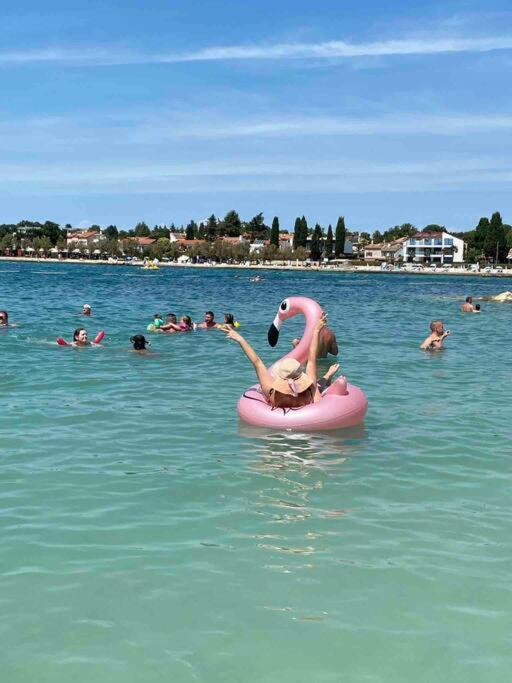 Appartamento Incantevole 300m dal mare - Appartamento con 1 Camera da Letto - 61