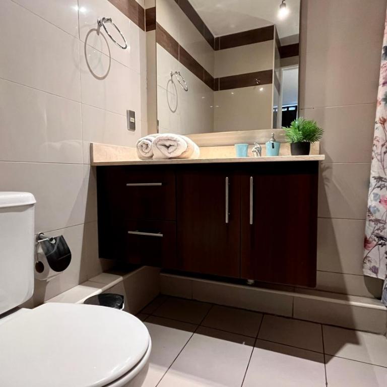 Apartamentos City Centro Manuel Montt - Estudio con 1 cama grande - 39