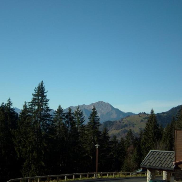 Appartement cosy 6 pers, balcon, piscine couverte, garage, Crest-Voland - Two-Bedroom Apartment - 8