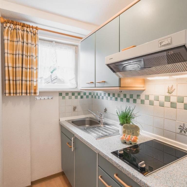 Lingg Ferienwohnungen - Apartment - Erdgeschoss - 5