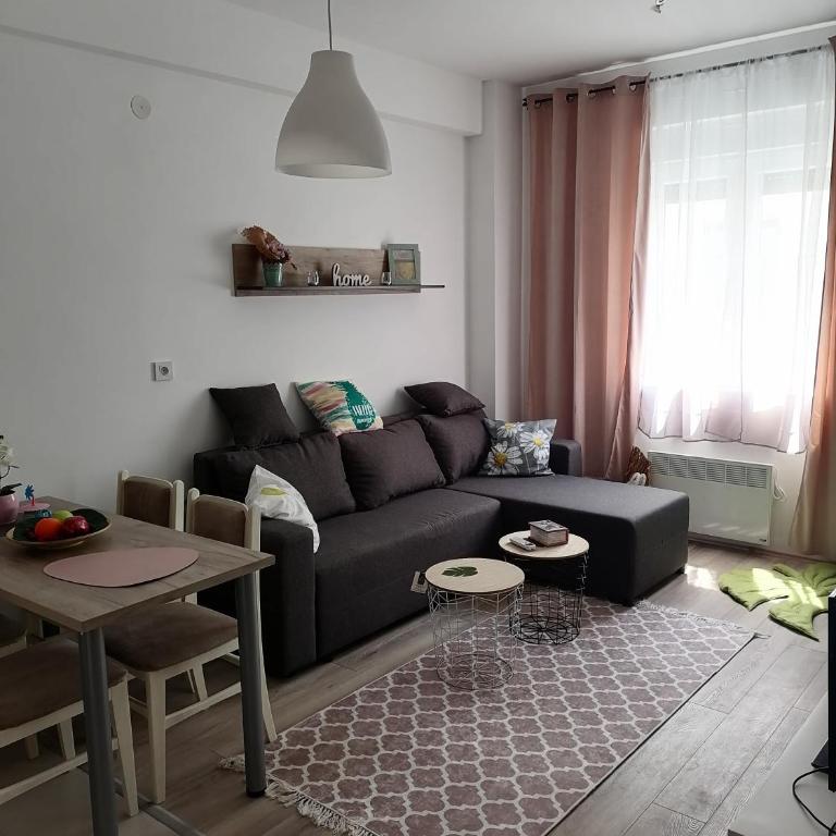 apartman TARA aqua park - Apartman sa 1 Spavaćom Sobom - 24