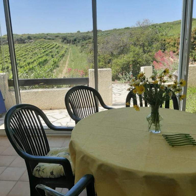 Garrigue sur cour - Maison 3 Chambres - 7