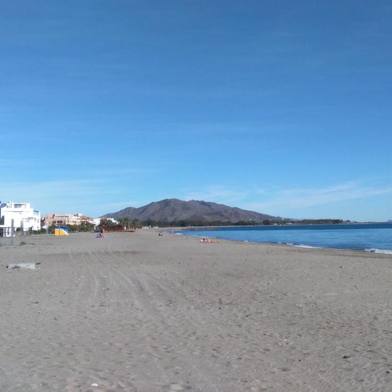 Torremar Natura 111 - Apartamento de 1 dormitorio con jardín - 13