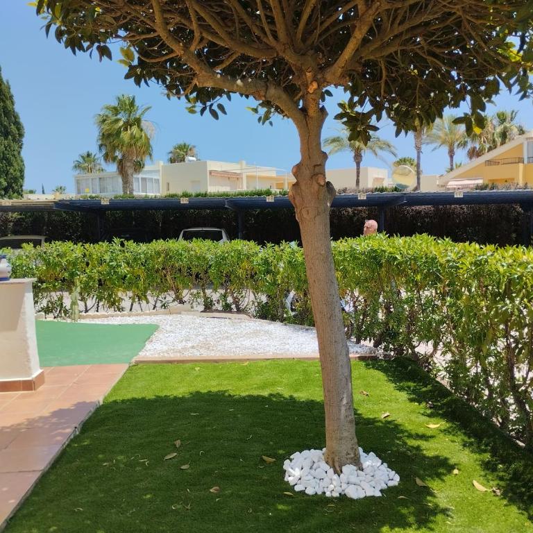 Torremar Natura 111 - Apartamento de 1 dormitorio con jardín - 49