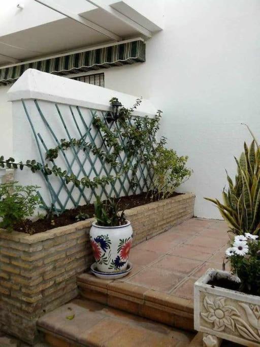 APARTAMENTO ECHANDO ANCLAS - Apartamento de 2 dormitorios - 36