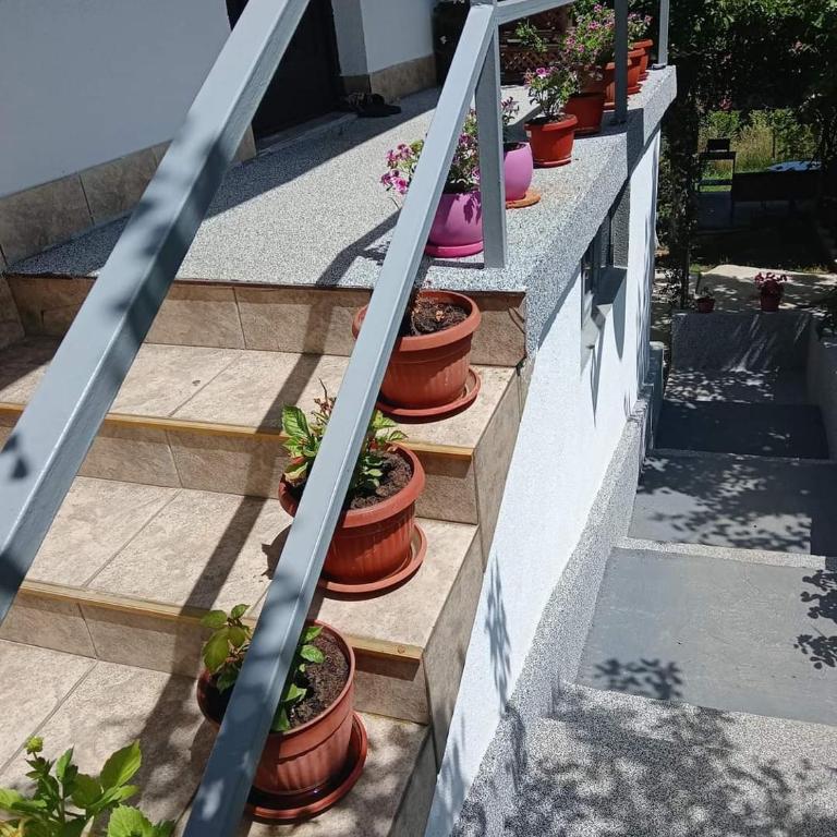 Kuća za odmor Ravne H&N - Apartman sa Pogledom na Vrt - 6