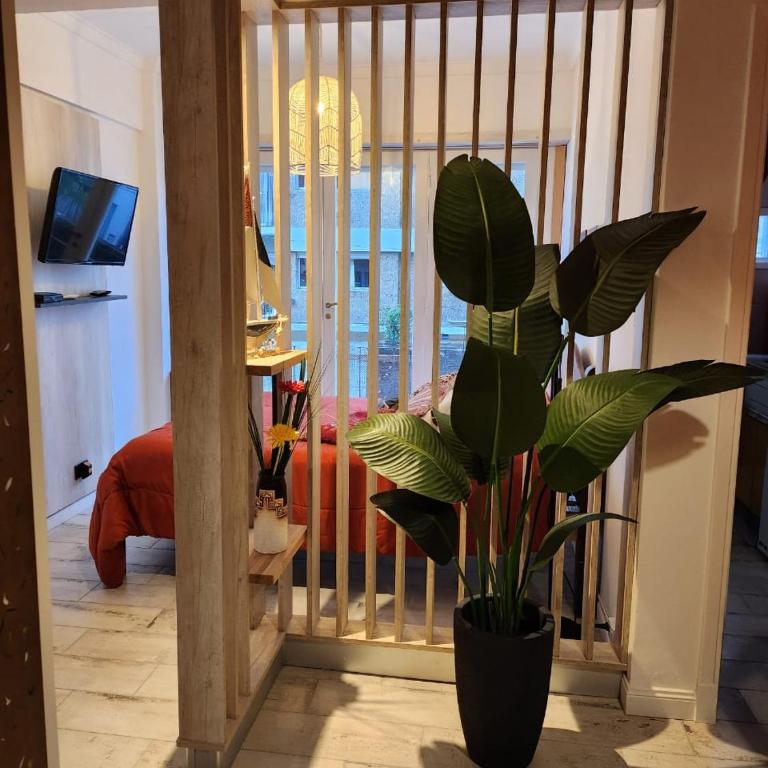 Departamento Centro Mar del Plata - Apartamento de 1 dormitorio - 10