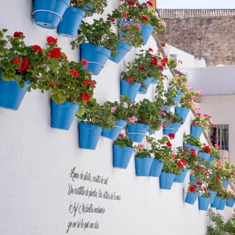 Jardines del Mar,Penthouse Elisabeth - Apartamento de 1 dormitorio - 54