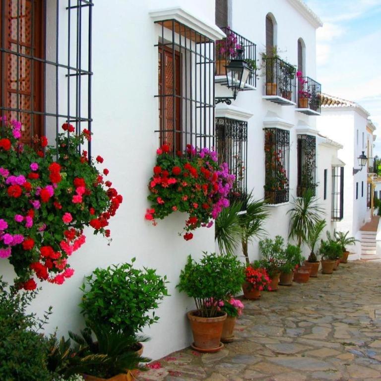 Jardines del Mar,Penthouse Elisabeth - Apartamento de 1 dormitorio - 52