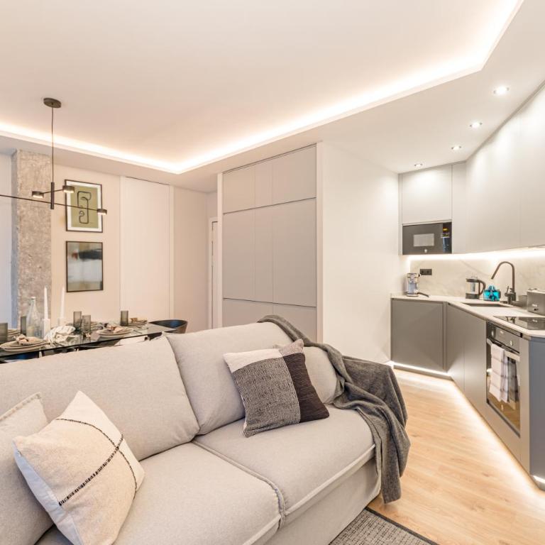Gran Via VII calle Jacometrezo 2BR 2BH - Apartment - 25