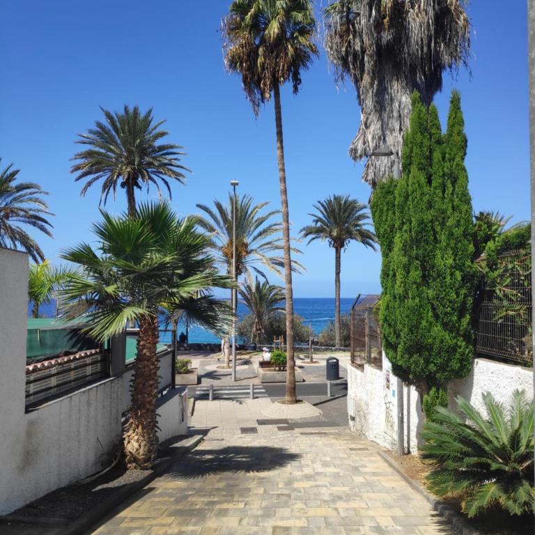 Fwt Relax Bungalow - Bungalow - 3