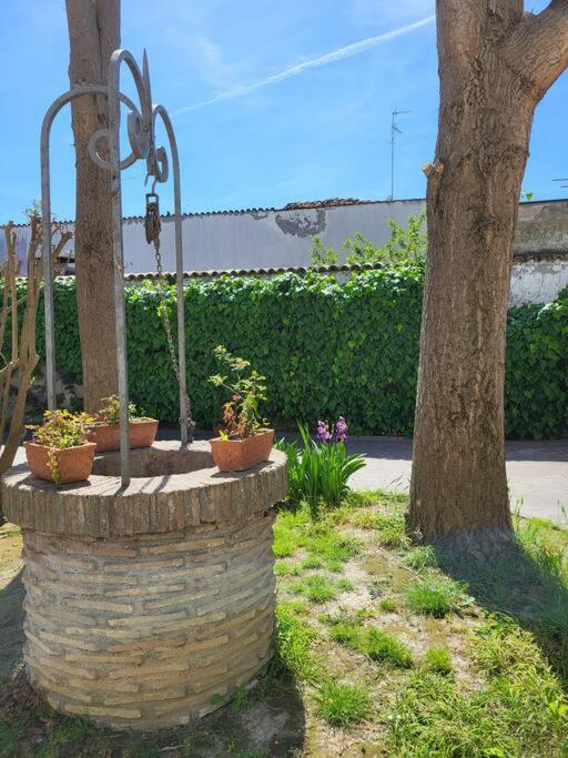 Casa Pascoli - Appartamento con 1 Camera da Letto - 11