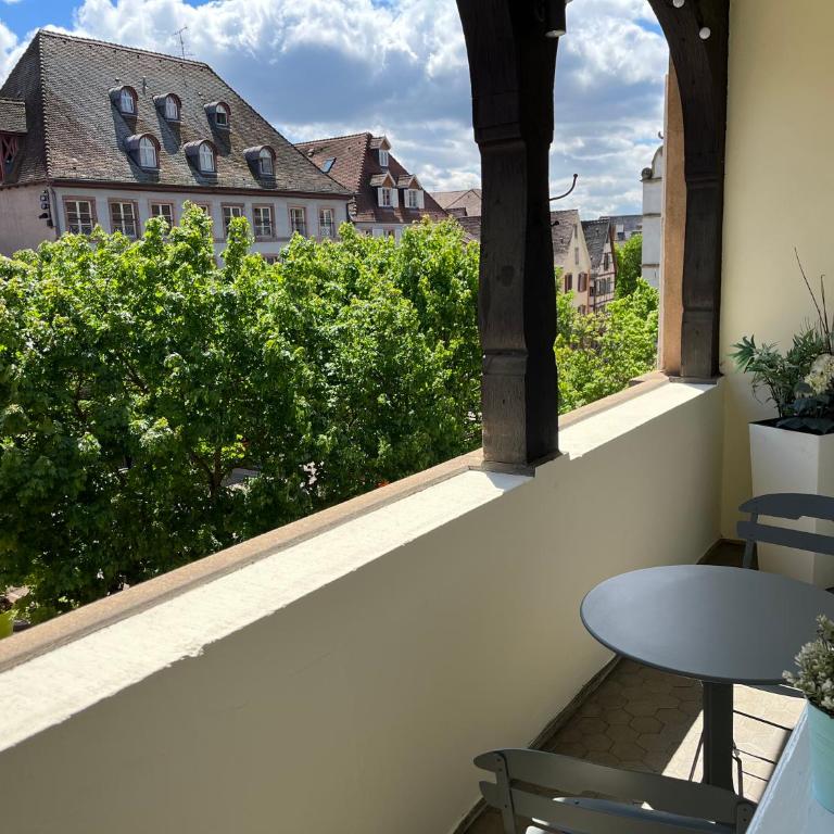 Le Balcon de Colmar - One-Bedroom Apartment - 21