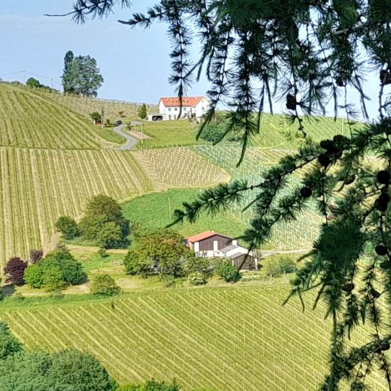 Glanz und Gloria Weingartenapartment an der Kellerstraße, viele Buschenschänke, sehr ruhige Lage, herrliche Aussicht! - Appartement - Vue sur Jardin - 32