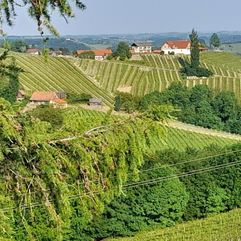 Glanz und Gloria Weingartenapartment an der Kellerstraße, viele Buschenschänke, sehr ruhige Lage, herrliche Aussicht! - Appartement - Vue sur Jardin - 36