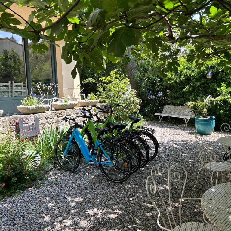La Villa Carcassonne, Chambres d hôtes, B&B, face à la Cité Médiévale - Double or Twin Room with Garden View - 4