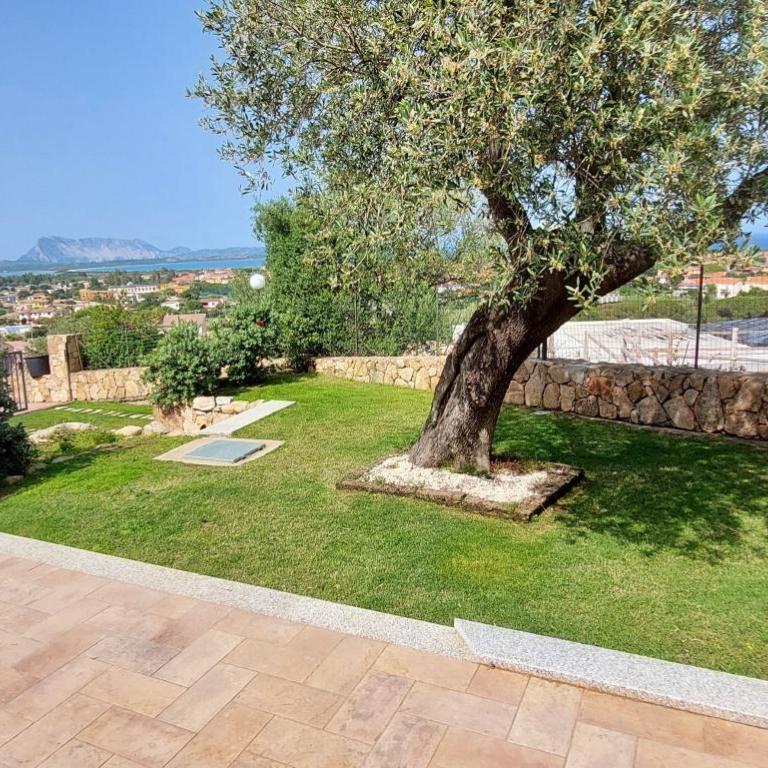 ISS Travel, Sea View apartment Il Corbezzolo - ground floor with air-condition - Appartamento con 2 Camere da Letto - 17