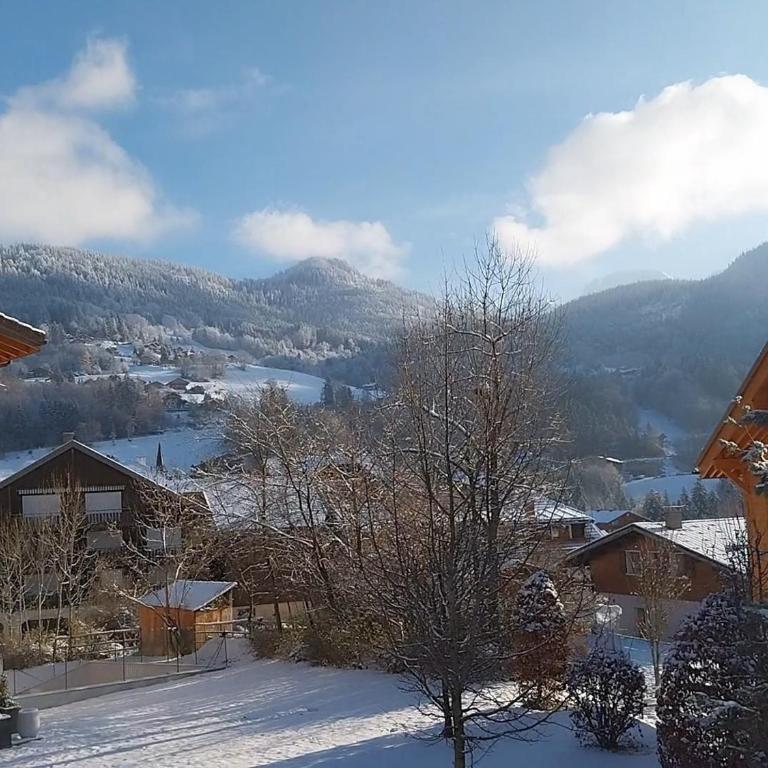 Charmant T2 + cabine avec balcon orienté sud à Saint-Jean-de-Sixt, proche de La Clusaz - FR-1-459-209 - Apartment - 12
