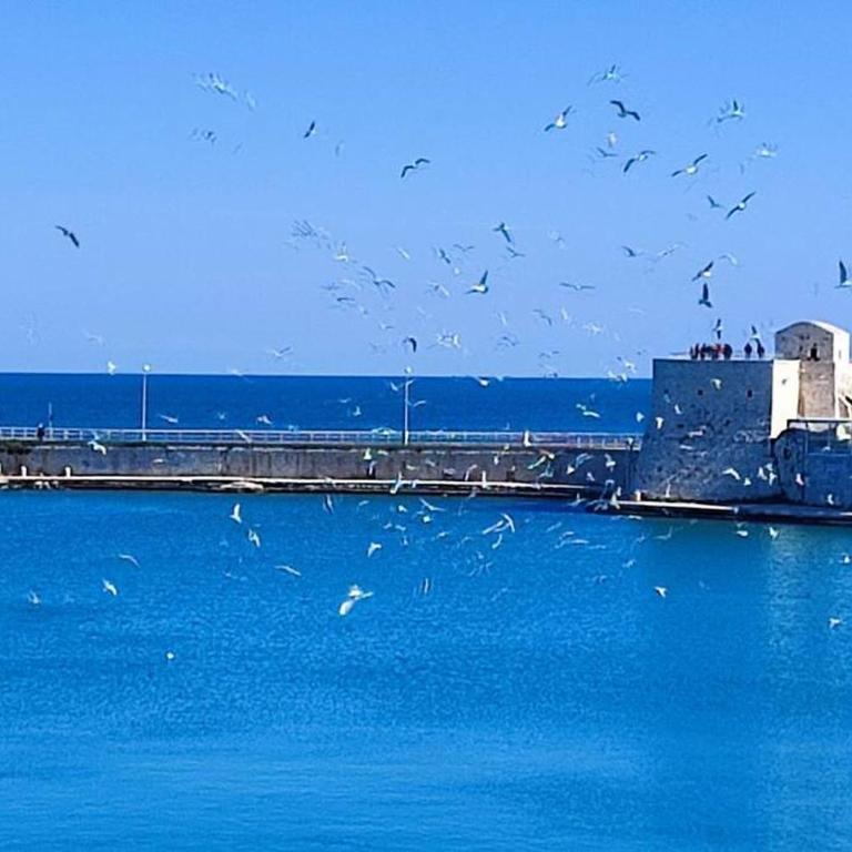 Emozioni dal Porto - Appartamento con 2 Camere da Letto - 17