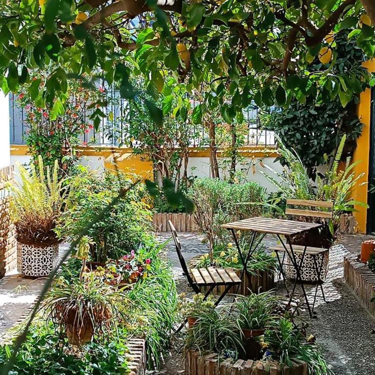 Casa Limonero con parking gratis junto a centro histórico - Four-Bedroom House - 3