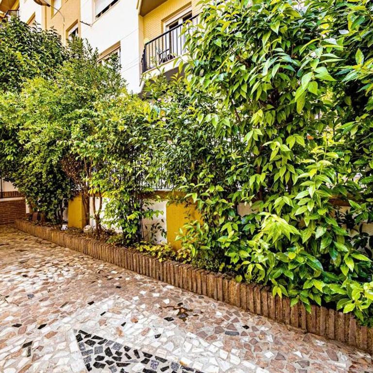 Casa Limonero con parking gratis junto a centro histórico - Four-Bedroom House - 17