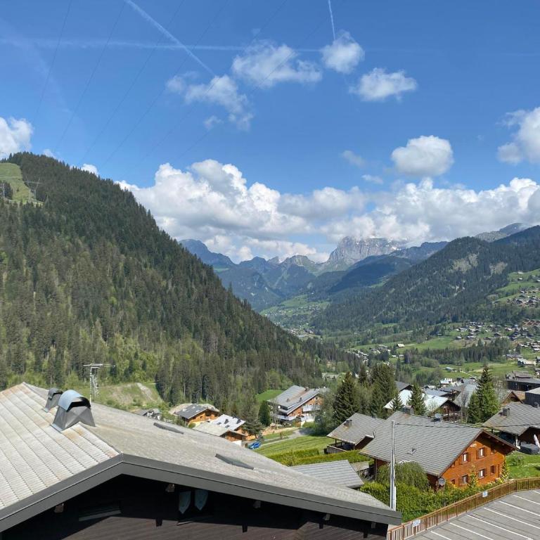 Charmant appartement à Châtel près des pistes et du lac, avec balcon - 25m², parking inclus - FR-1-693-43 - Studio - 4