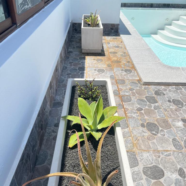 villa linda 17B - Villa - 11
