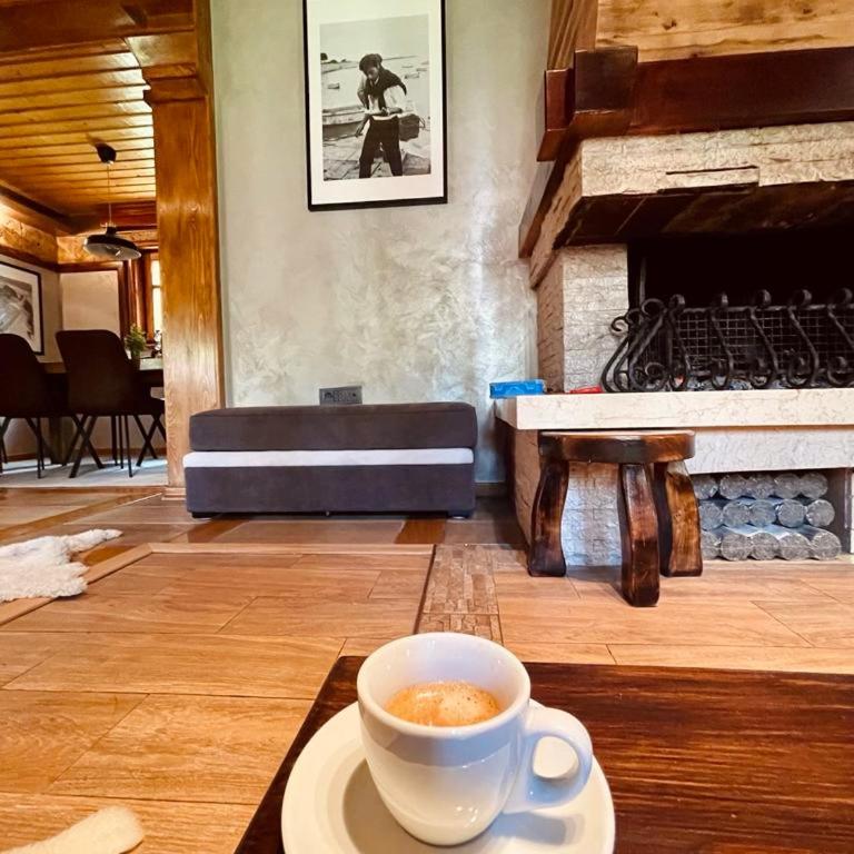Zlatibor Resort & Spa - Vila - 14