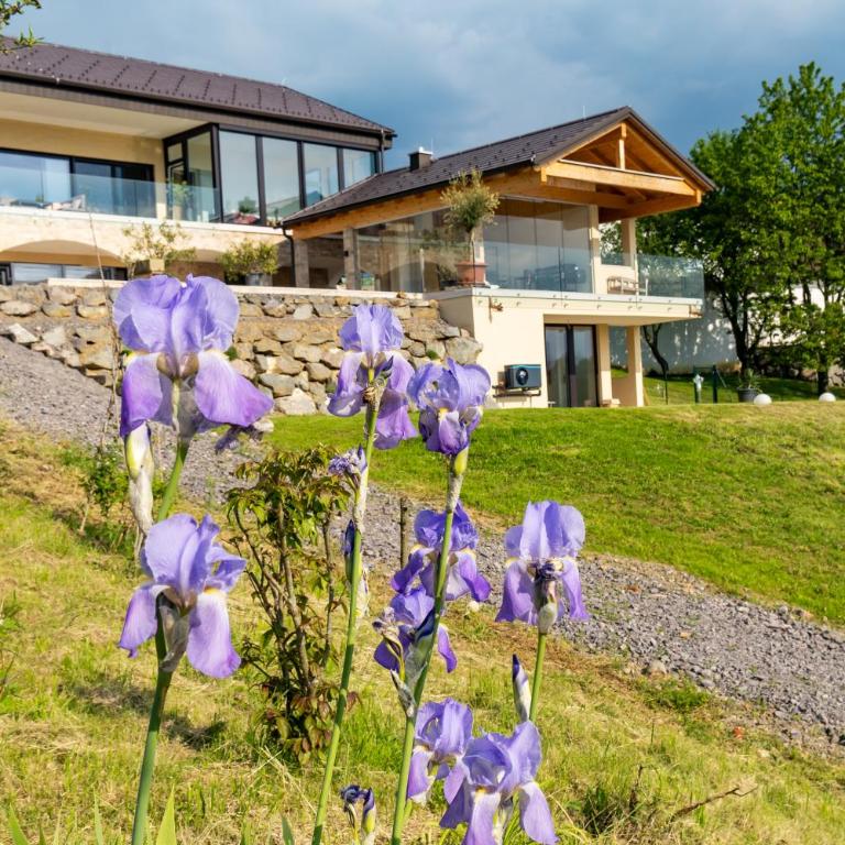 Urlaubsoase Hügelperle - Appartement 1 Chambre - 57