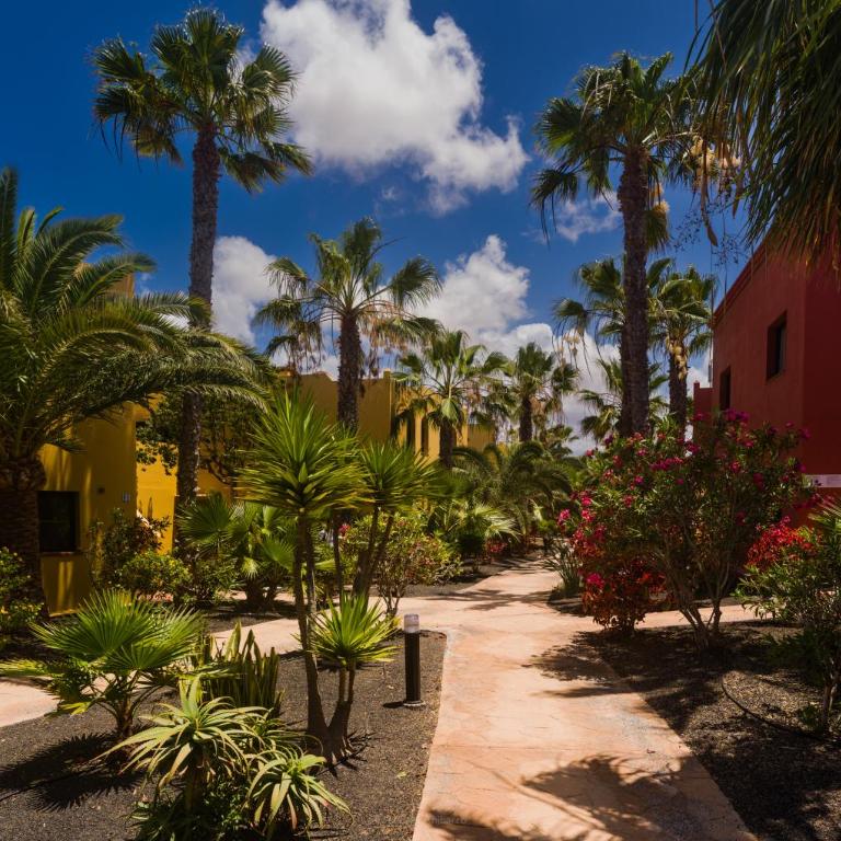 Oasis vistamar - Apartamento con vistas al mar - 5