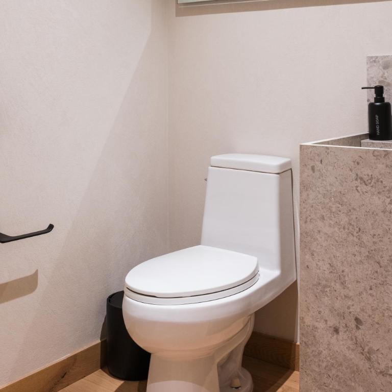 Pancha Flats - Apartamento de 3 dormitorios - 11