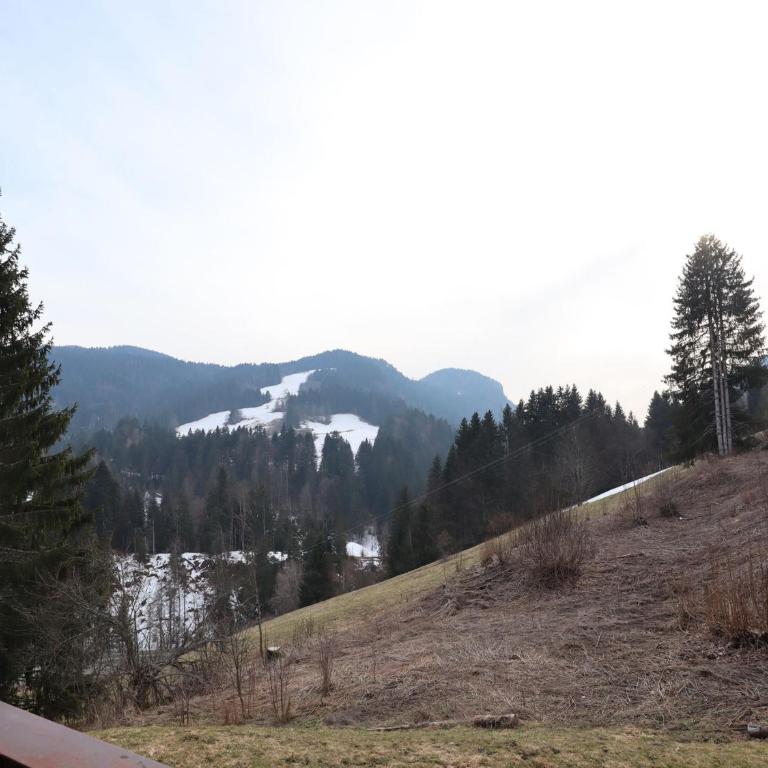 Les Gets - T2 avec parking et vue montagne - FR-1-623-304 - Apartment - 9