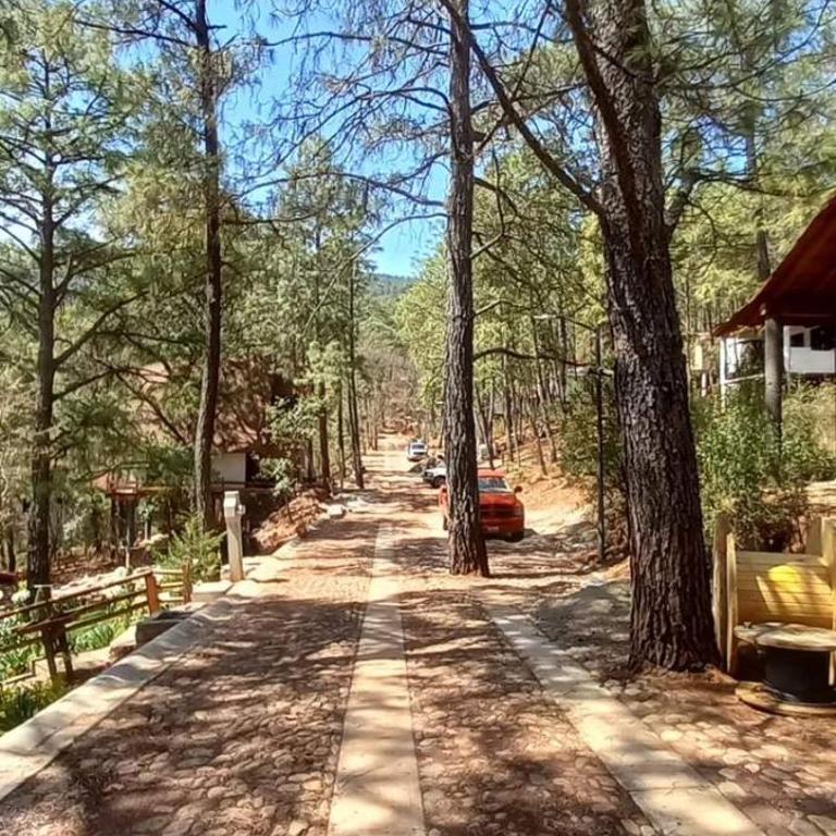 Cabaña El Encanto - Three-Bedroom Chalet - 21