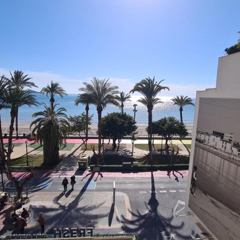 Apartamento Parque Elche IF Benidorm - Apartamento - 45