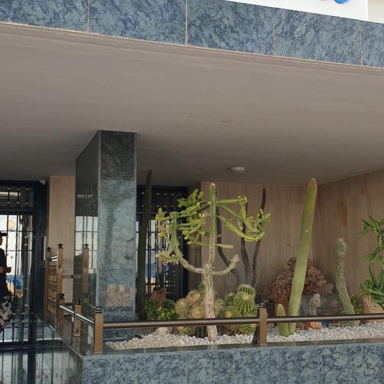 Apartamento Las Palmeras 6 IF Benidorm - One-Bedroom Apartment - 20