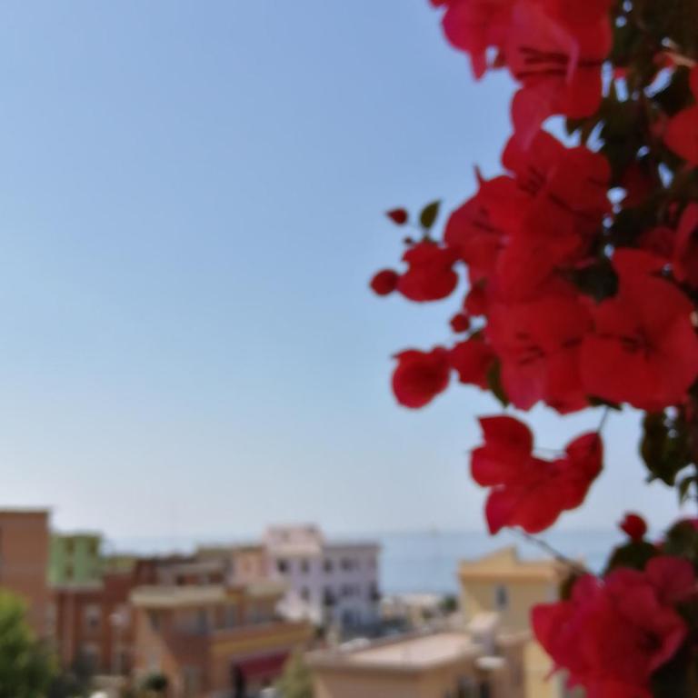 Sea view Penthouse with beautiful Terrace - Casa Verdi Jayanti - Appartamento con 1 Camera da Letto - 24