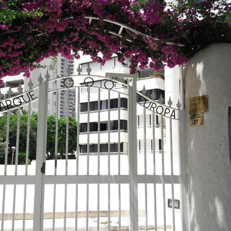 Apartamento Torre Europa 5 IF Benidorm - Apartment - 20