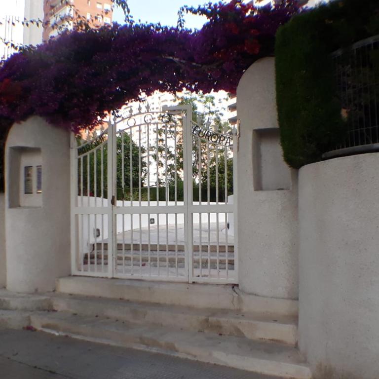 Apartamento Torre Europa 5 IF Benidorm - Apartment - 28