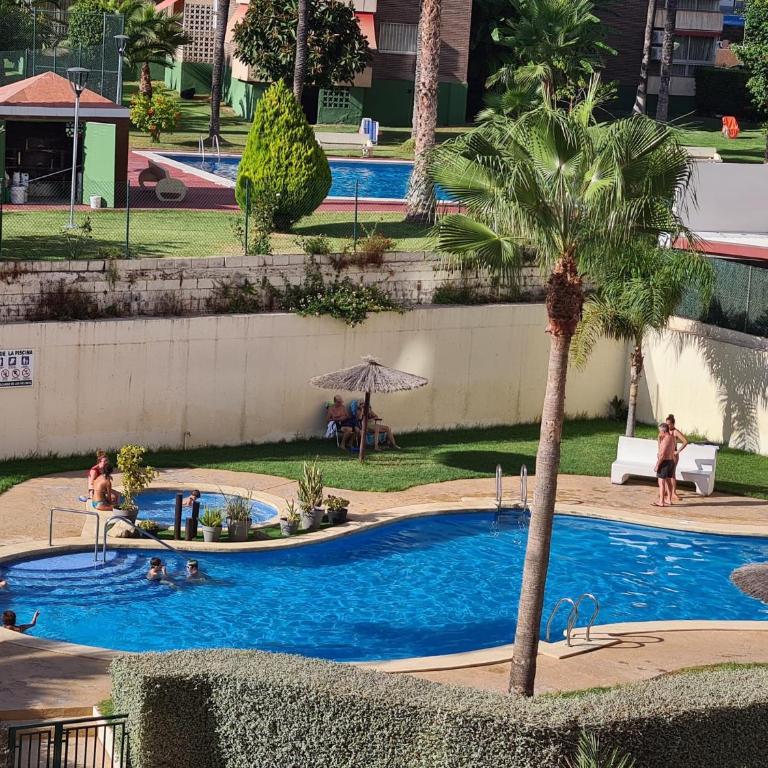 Apartamento Marina Sedavi IF Benidorm - One-Bedroom Apartment - 1
