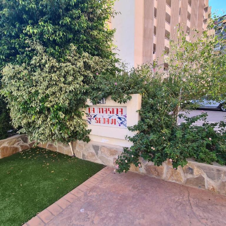 Apartamento Marina Sedavi IF Benidorm - One-Bedroom Apartment - 20